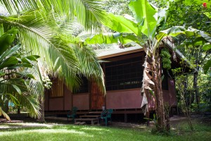 Jungle Cabin, Cabo Matapalo, Costa Rica